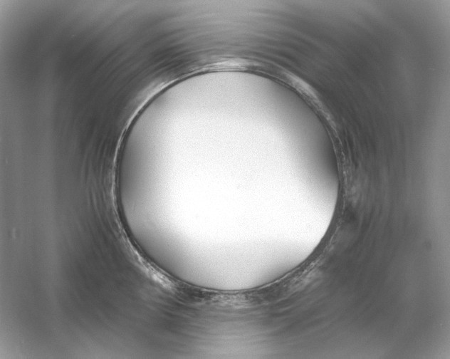 X0000060751194200512011438