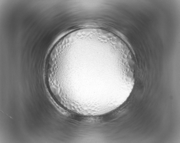 X0000060751195200512011438