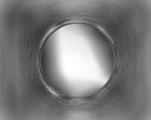 X0000060751197200512011438