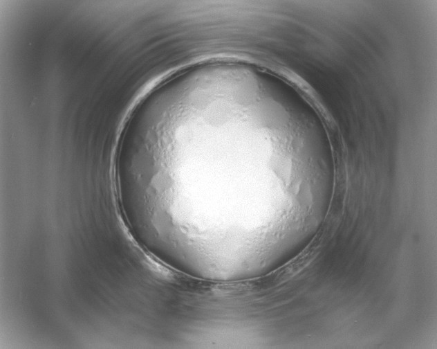 X0000060751199200512011438