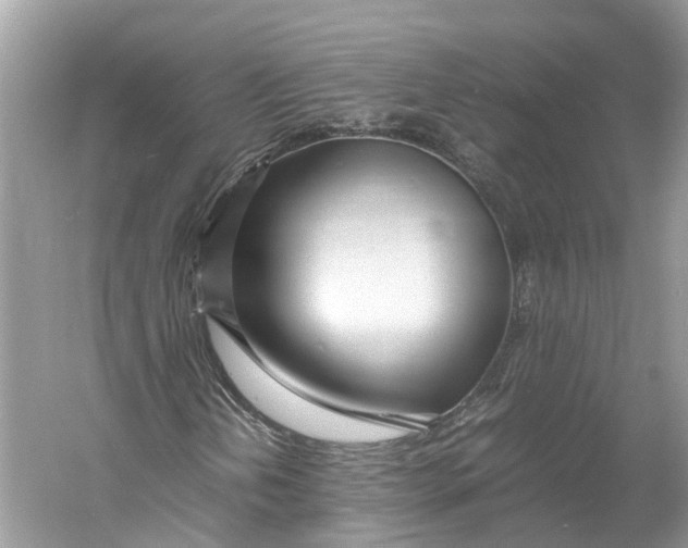 X0000060751202200512011437