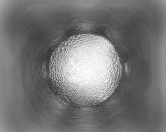 X0000060751203200512011437