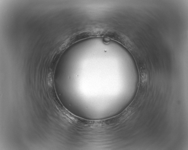 X0000060751204200512011437