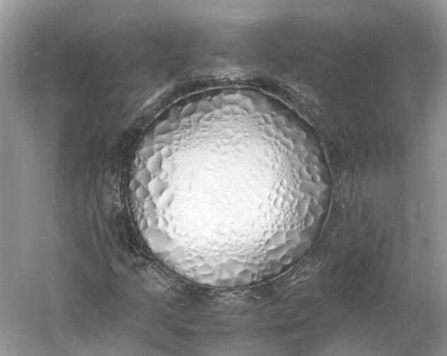 X0000060751205200512011437