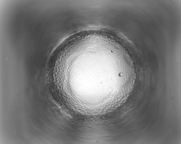 X0000060751208200512011437