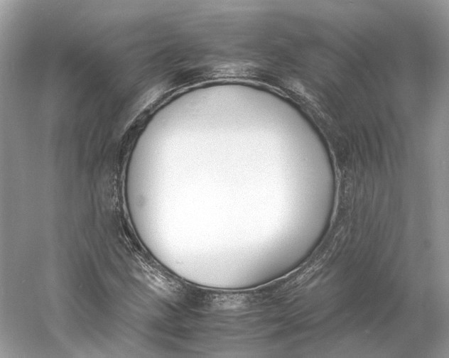 X0000060751211200512011438