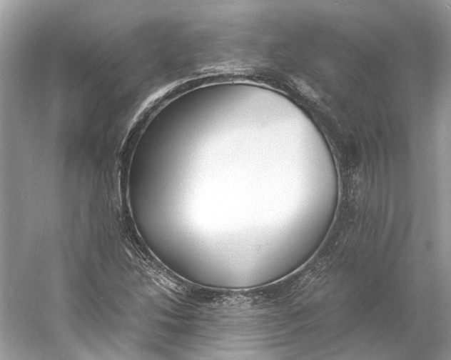 X0000060751214200512011438