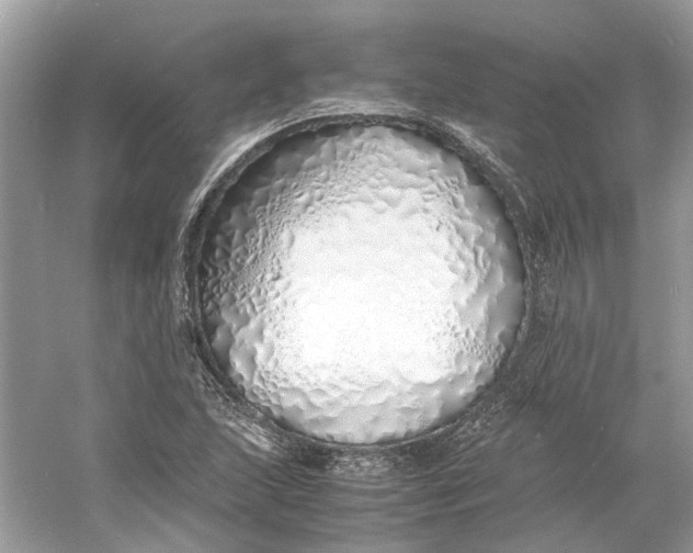 X0000060751215200512011438