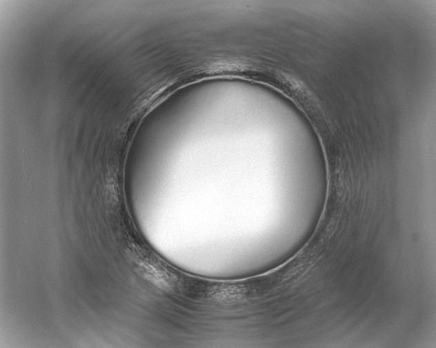 X0000060751217200512011438