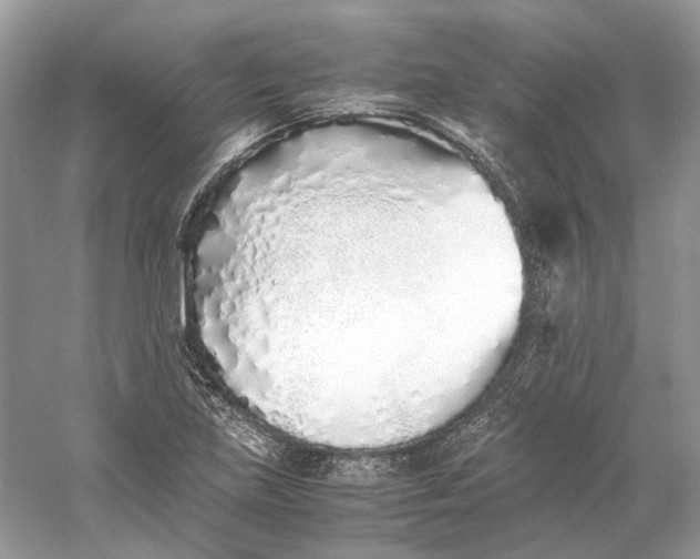 X0000060751219200512011438
