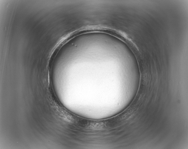 X0000060751221200512011438