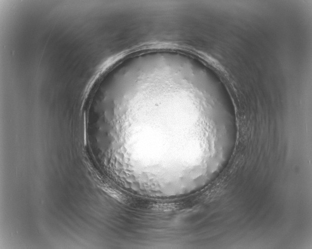 X0000060751223200512011438