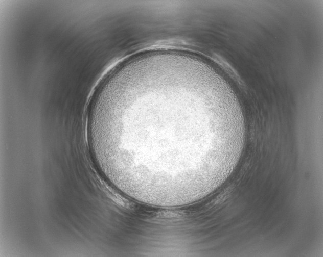 X0000060751224200512011438