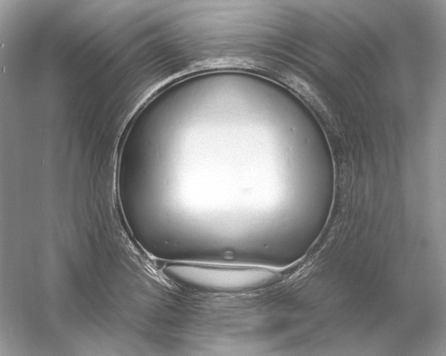X0000060751228200512011438