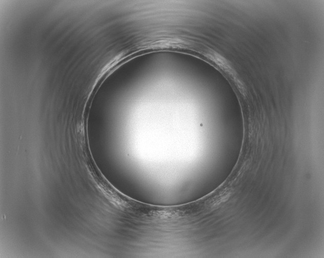 X0000060751234200512011438