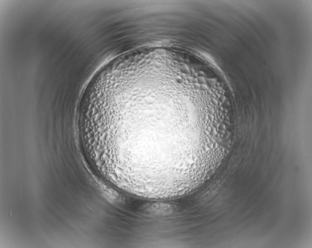 X0000060751235200512011438