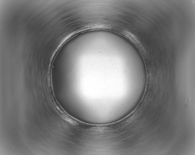 X0000060751236200512011438