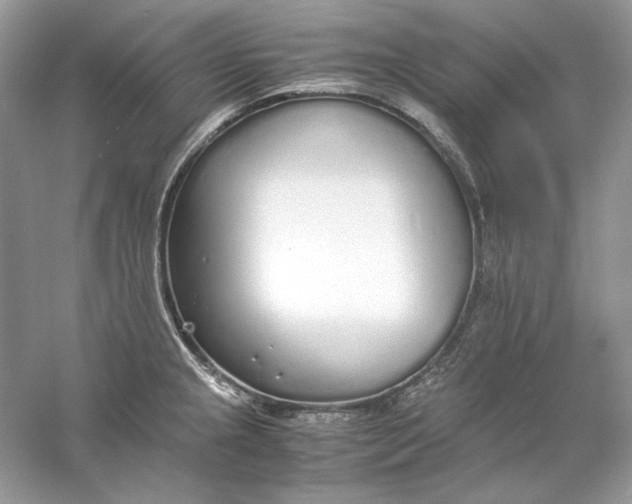 X0000060751237200512011438