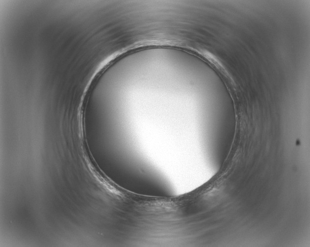 X0000060751238200512011438