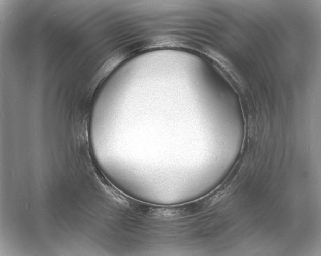 X0000060751241200512011438