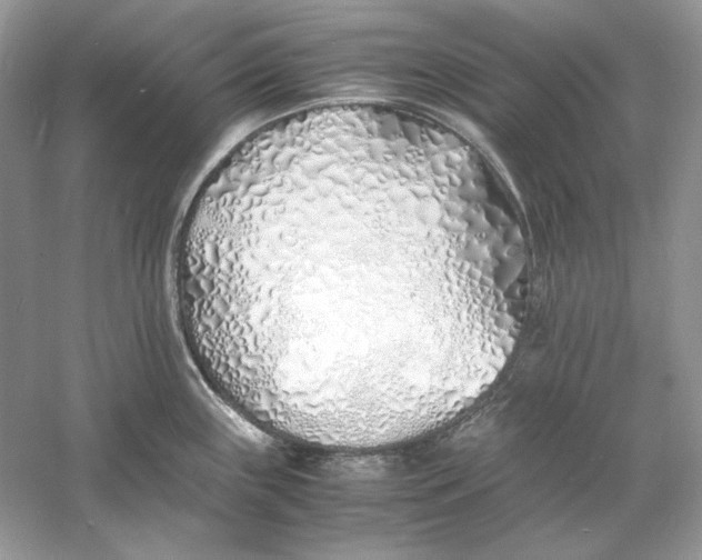 X0000060751243200512011438