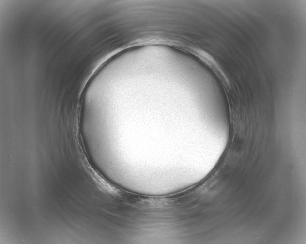 X0000060751244200512011438