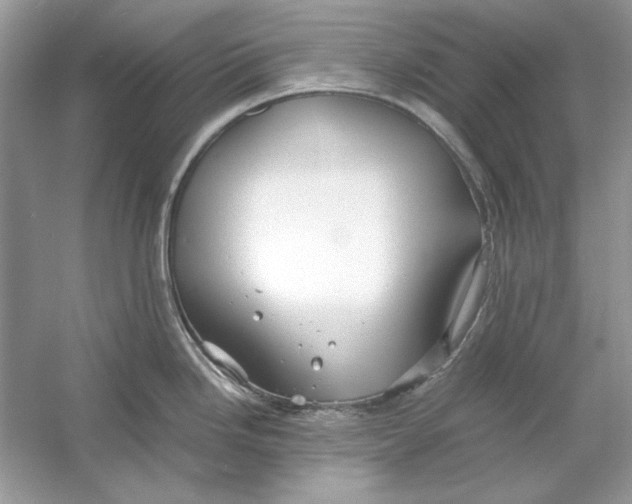 X0000060751246200512011438