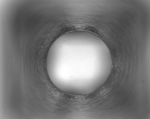 X0000060751249200512011437