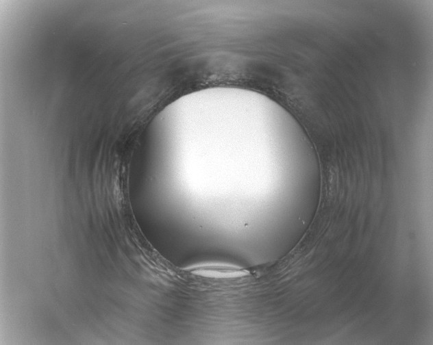 X0000060751250200512011437