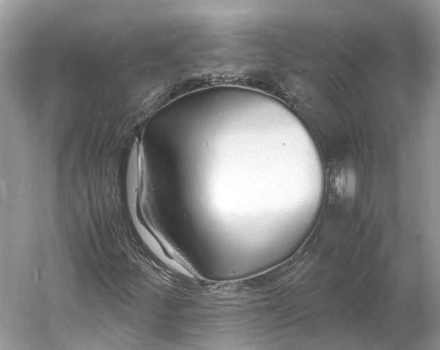 X0000060751252200512011437