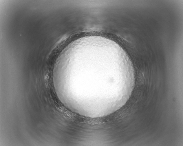 X0000060751254200512011437