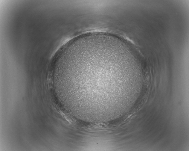X0000060751255200512011437