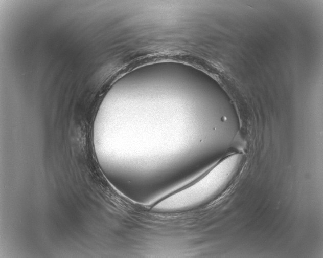 X0000060751257200512011437