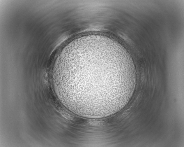 X0000060751258200512011437