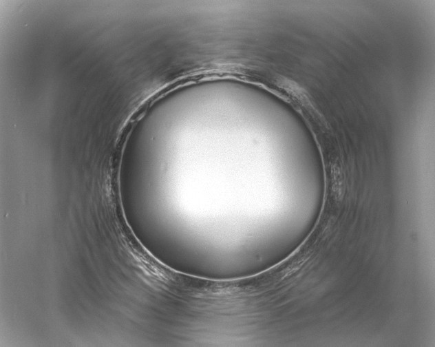X0000060751260200512011437