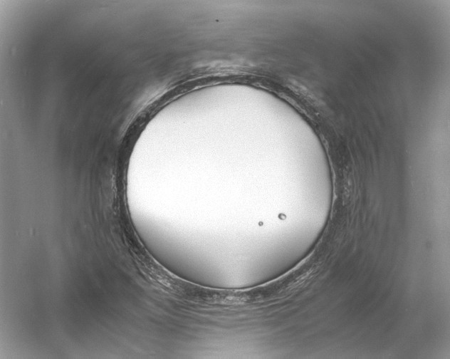 X0000060751261200512011437