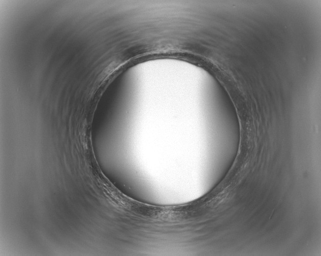 X0000060751265200512011437