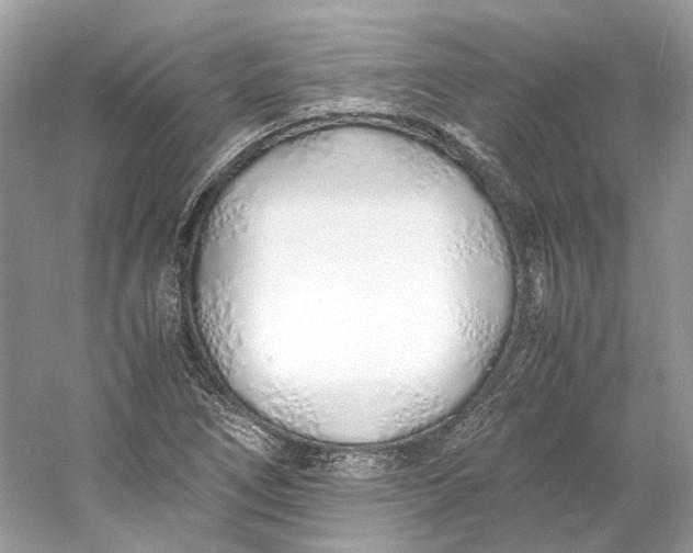 X0000060751266200512011437