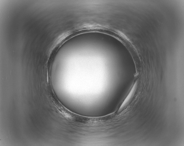 X0000060751269200512011437