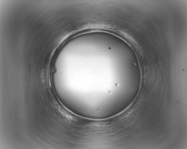 X0000060751272200512011437