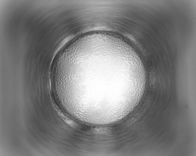 X0000060751274200512011437