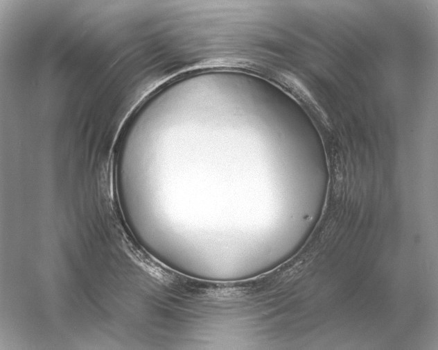 X0000060751276200512011437