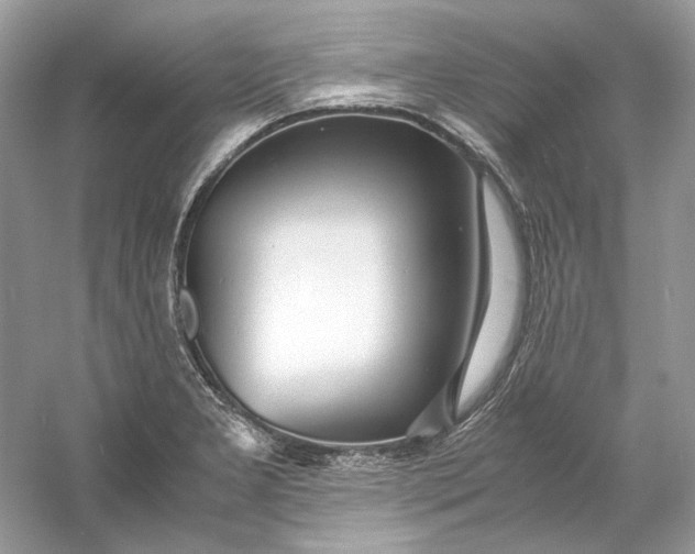 X0000060751277200512011437