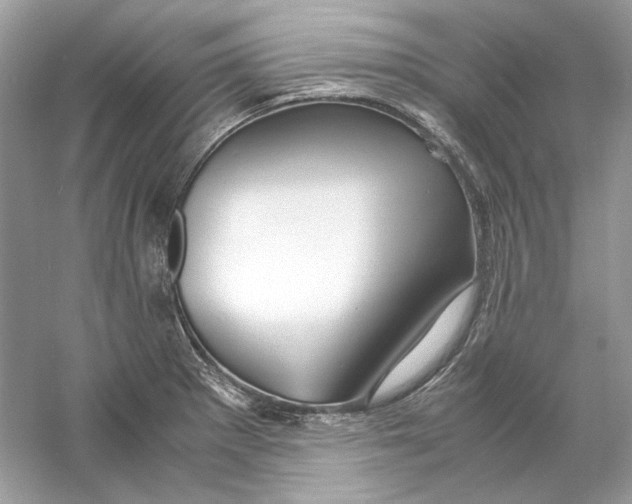 X0000060751281200512011437