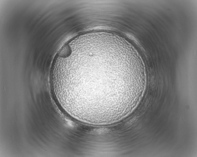X0000060751282200512011437