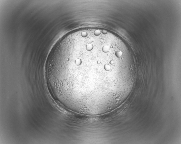 X0000060751283200512011437