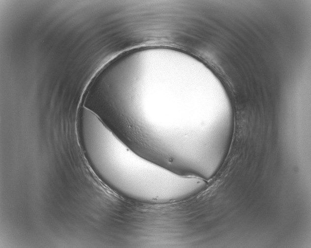 X0000060751284200512011437
