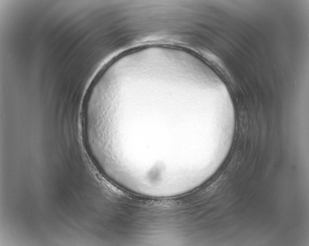 X0000060751288200512011437