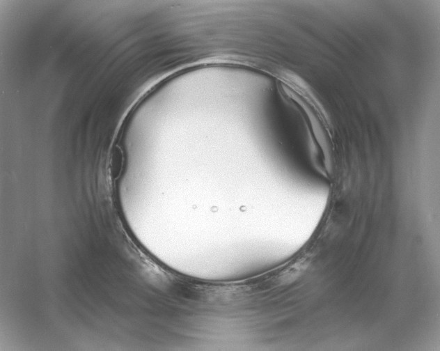 X0000060751292200512011437