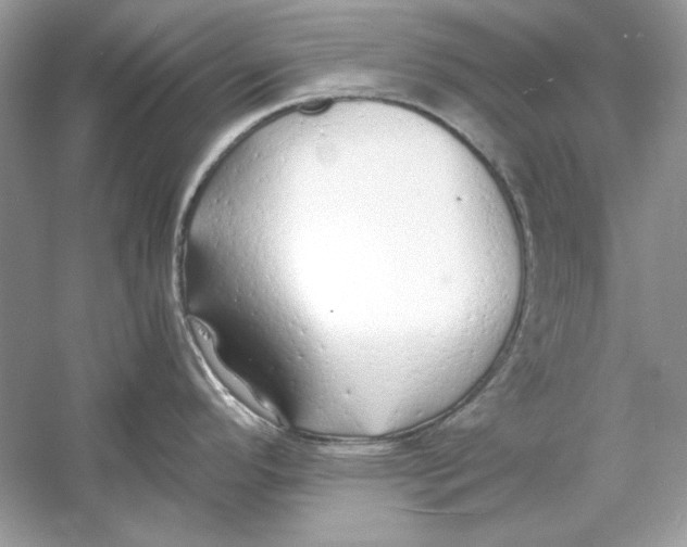 X0000060751296200512011436